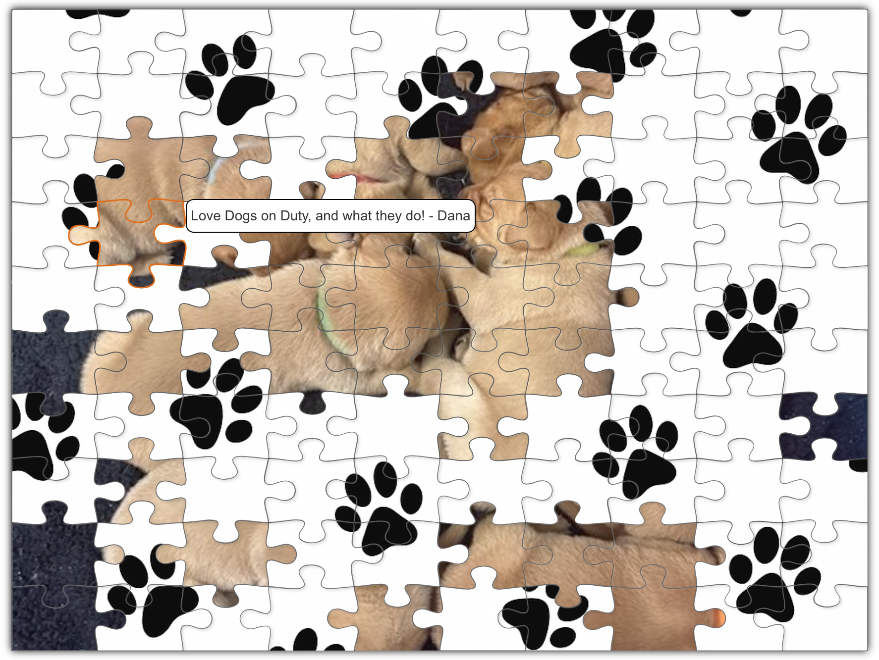 Live puzzle campaign preview